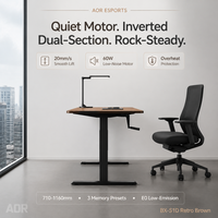 Bureau debout ergonomique AOR moderne en métal et fer, à moteur unique, durable, réglable, de luxe, pour usage commercial et domestique