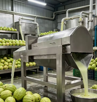 Panghui Hoge Productiviteit Fruitfiltermachine voor Snackfabrieken Mango Puree Zwarte Stippen Verwijdering Motorisch Aangedreven 220V 5500W