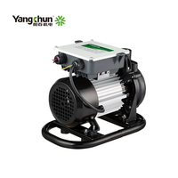 Pompes centrifuges solaires de surface DC de 1 pouce 0,6 kW pour l'irrigation agricole