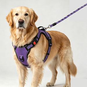 Reflective <b>Pet</b> Dog <b>Harness</b> with Leash for Small Large Dogs Outdoor Training Walking No Pull Adjustable <b>Pet</b> Leash Vest <b>Harness</b> - Product Image 1