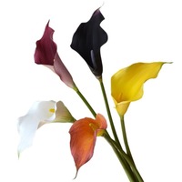 O-X055 Großhandel Langstielige EVA Calla Lilien Blumen Weiß Rosa „Real Touch“ Lilie Calla Kunstblume für Heim- und Hochzeitsvasendeko