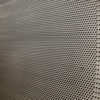 Plaques métalliques perforées sur mesure en acier inoxydable (SS) de qualité 304 316, avec trous ronds fins de 1 mm, pour filtres de tambour de centrifugeuse pharmaceutique