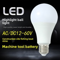 Ampoule LED DC/AC 12-60V Basse Tension Culot E27 Éclairage Résidentiel pour Bateaux de Pêche et Machines-outils CRI 80-90 400 Lumens
