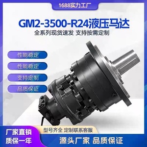 Moteur hydraulique STF GM2-3500 GM2-2700 à faible vitesse et couple élevé pour ouverture de trappe 110 - Product Image 2