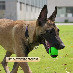 <span class=keywords><strong>Collar</strong></span> de Perro Táctico de Nailon Suave con Luces Reflectantes Ajustables y Duraderas, con Asa, 2 Pulgadas, Resistente, con Logotipo Personalizado OEM ODM, Gran Venta - Product Image 1