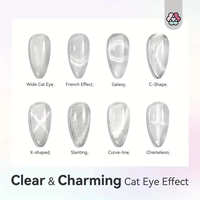 Meilleure Vente 2025 : Ensemble de 9 Aimants Puissants pour Ongles Effet Œil de Chat, Cœur et Carré, Baguette Magnétique Portable en Acrylique, Outils DIY pour Vernis Gel et Nail Art