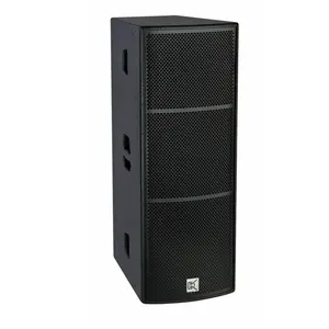 Best sell + dual 12 pollici speaker box + DJ sound systems line array speaker