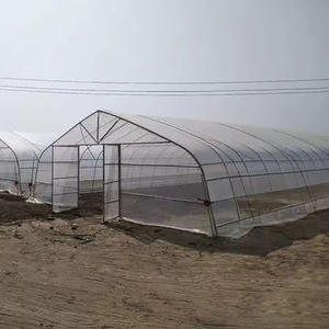 Serre d'agriculture 2020, fabrication chinoise avec hydroponique - Product Image 6