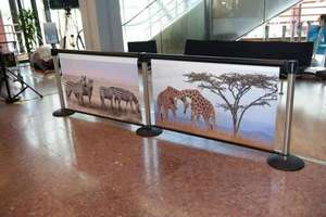 เสาคั่นทางเดินแบบเคลื่อนย้ายได้ ขนาด 1.0 เมตร สำหรับกิจกรรมในห้างสรรพสินค้าและการจัดการคิว - Product Image 4