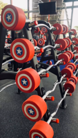 Support de Rangement pour Haltères en Acier Robuste FW 2014 – Équipement de Fitness Commercial pour Salle de Sport – Vente en Gros
