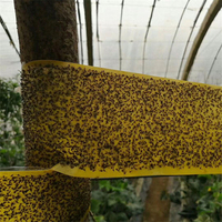Hoogwaardig klevende geel-blauwe insectenvalrol voor landbouw, plantenbescherming, bestrijding van ongedierte, fruitvliegenvangpapier voor gewassen