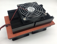 China Manufacturer 24v 100w Peltier Cooler Cooling System Thermoelectric Air Module Heat Sinks