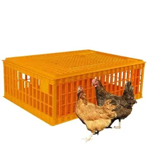 Cage de transport de poulet en plastique de bonne qualité pour poulets de chair