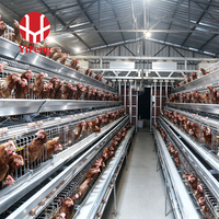 Nouvelle Cage à Poulets Automatique Économique en Acier pour l'Élevage Moderne, avec Système d'Alimentation et d'Abreuvement Automatiques, Type A