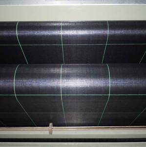 Tapis de gazon vierge en rouleau, couverture de sol, nouveau, - Product Image 6