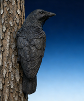 Realistic Black Crow Figurine Resin Raven Wall Hanging for Garden Halloween Decor