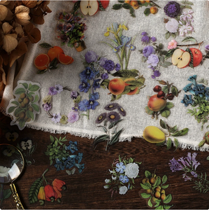 ZY0895A montagne et mer carte série autocollant pour animaux de compagnie sac rétro Animal et plante tente matériel sac bricolage autocollant décoratif 6 modèles - Product Image 4