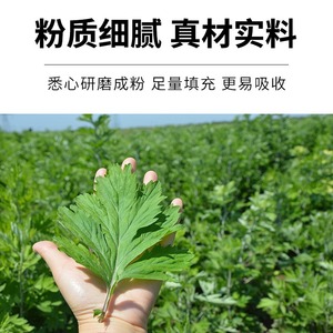 Moxibustion Mugwort Integrated Bag 8x10cm Red Dot Heating Pad For Home Use Improving Circulation Artemisia Product Class I - Product Image 5