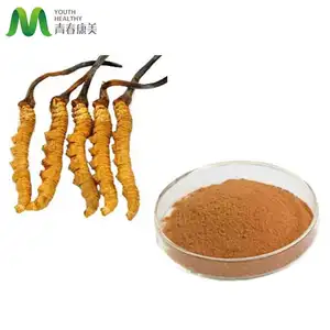 مسحوق Cordyceps Militaris المكون من سكرات عسكرية عضوية سعر خاص مسحوق Cordycepin