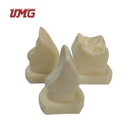 Modelos Dentales y de Guía para Tallado de Dientes