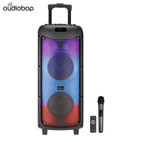 Enceinte de fête professionnelle en gros avec machine karaoké, batterie rechargeable 60W 11.1V, microphone sans fil BT5.0 et télécommande