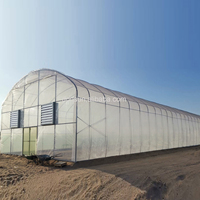 Serre en film plastique de haute résistance pour l'agriculture et les fermes, tunnel polyvalent, abri de culture, serre à tomates à vendre