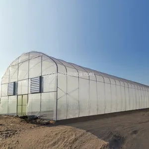 Túnel polivinílico agrícola y agrícola comercial de alta resistencia, casa verde, película plástica, cobertizo de cultivo, invernadero de tomate a la venta