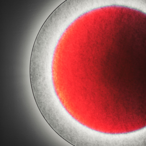 מנורת קיר לד מודרנית דגם דאורוי, עיצוב ירח מלא, אור לבן חם, שלט רחוק, פלדה, פולימר, עמעום, RGB, לסלון ולחדר שינה - Product Image 5