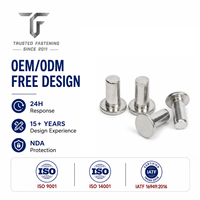 Rivets plats en aluminium TianFang pour boîtiers de bornes de moteur, finition anodisée, sur commande avec approvisionnement stable par lots