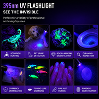 Lampe torche UV rechargeable 395nm, chargement USB-C, en alliage d'aluminium, haute luminosité, pour détection d'urine d'animaux, de fuites de billets et de scorpions