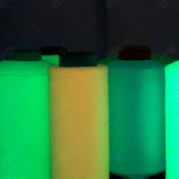 Fil fantaisie 100 % polyester phosphorescent DTY 75D 150D 300D, fil lumineux pour tissage et tricotage de chaussettes et de sangles
