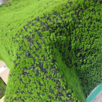 Tapis de mousse artificielle vert terreux avec granulés de terre et base floquée pour terrarium, bonsaï, modèle de diorama, décoration de paysage