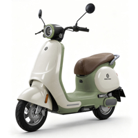 Moto électrique SIGOTECH OEM 1000W avec batterie au lithium 60V, vélo électrique 45 km/h pour femmes