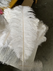 Filo stelo piuma plettro floreale per la composizione floreale fornitura Bouquet per festa di nozze per casa decorazione artigianale Boho natale natale - Product Image 2