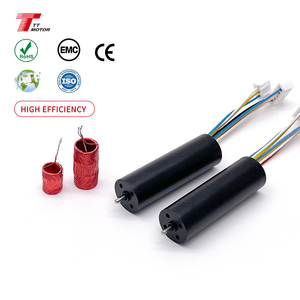 16 Mét không chổi than Coreless động cơ 12V 24V tốc độ cao tùy chỉnh thay thế maxon động cơ - Product Image 1