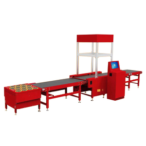 Kho tĩnh 8-phân loại hàng hóa DWS Express bưu kiện DWS với phân Loại hệ thống Kích thước trọng lượng quét hệ thống DWS - Product Image 3