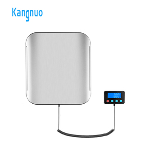 Offre Spéciale de personnalisation en acier inoxydable 200kg Balance d'expédition postale au sol Balance de plate-forme industrielle Balances postales - Product Image 2