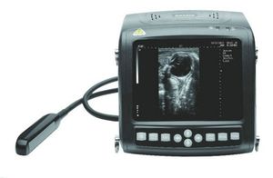 Machine à ultrasons vétérinaire rectale portative Kaixin KX5200 à prix avantageux en Chine pour les vaches et les chevaux - Product Image 3