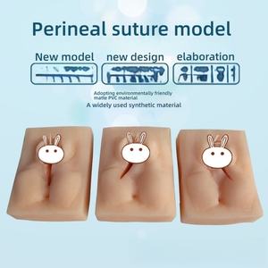 Mô hình thực hành khâu đáy chậu cho mô-đun đào tạo khoa học y tế Phụ khoa & sản khoa về kỹ năng sửa chữa âm hộ - Product Image 2