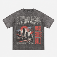T-shirt en coton pur 250 GSM délavé à l'acide, couleur unie, coupe ample à épaules tombantes, marque privée pour hommes, vente en gros OEM ODM