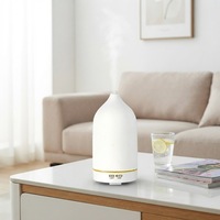 Vente directe d'usine, diffuseur d'huiles essentielles 100 ml, lumière LED, humidificateur aromathérapeutique en céramique fait main