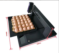 Impresora de inyección de tinta en forma de huevo de cabezal único industrializada 600dpi Grado automático con nuevas condiciones Excelente para el envasado de huevos