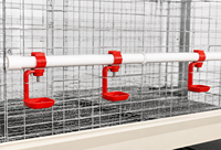 Cage à poulets à 3 niveaux, galvanisée à chaud, équipement avicole directement de l'usine, avec aménagement de ferme personnalisé