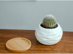 Vaso Fioriera Mini in Ceramica di Lusso Moderno Decorativo da Interno <span class=keywords><strong>per</strong></span> <span class=keywords><strong>Piante</strong></span> <span class=keywords><strong>Grasse</strong></span>, con Vassoio in Bambù, Uso da Giardino, Produzione Cinese - Product Image 4