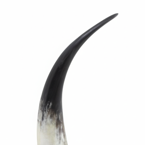 แตรสำหรับดื่มเบียร์และไวน์ไวกิ้งฮอร์นขัดเงาคุณภาพระดับพรีเมียมอุปกรณ์สำหรับฉลองเทศกาลคริสต์มาส - Product Image 1