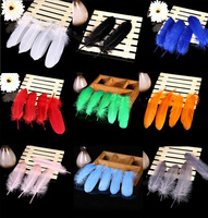 Plume d'oie de citron vert pour Arts artisanat bricolage stylo aile coiffure fête carnaval Costume chapeau cheveux accessoire Halloween maison décor de noël