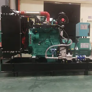 Natural Gas Operated Electric Generator With 6BT5.9-T Engine 50kW Natural Gas Generator Bio gas generator