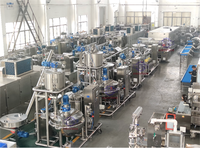 Machine de fabrication de bonbons gélifiés vitaminés pour l'industrie confiserieuse, ligne de production de bonbons gélifiés à base de fécule