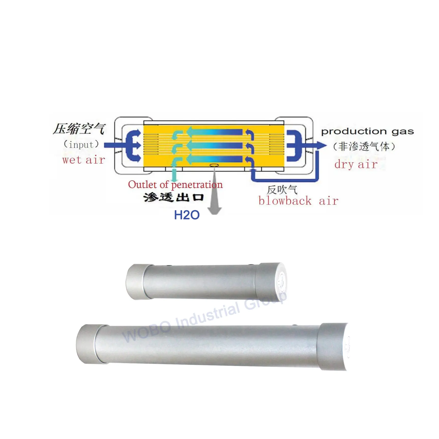 燃料電池電解槽交換膜用の高精製硫化水素膜