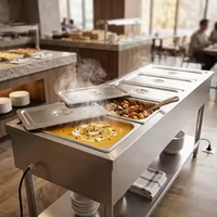 Réchaud alimentaire électrique isotherme en acier inoxydable avec fond plat et chauffage électrique pour buffet et restaurant